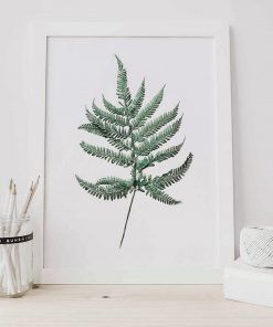 botanical-fern-print