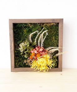 Cuadro de musgo 20cmx20cm listo para ser enviado