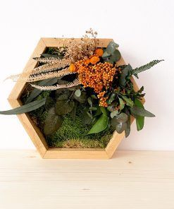 Preserved Moss Hexagon 20cm ready to ship